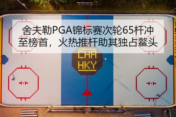 舍夫勒PGA锦标赛次轮65杆冲至榜首，火热推杆助其独占鳌头